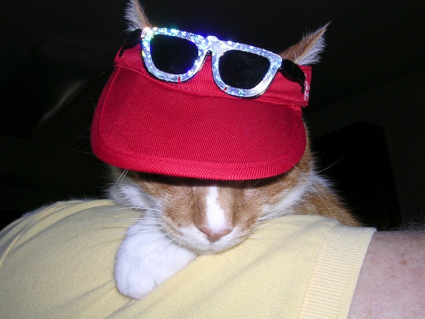 Sam in his visor and sunglasses!