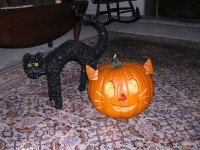 My Cat-O-Lantern for Halloween 2011