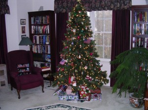 Sam's Christmas Tree 2011