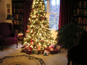Lit Christmas Tree 2011