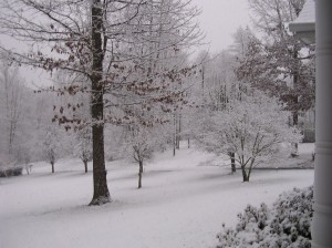 January 2012 Snow