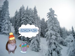 snownoSam